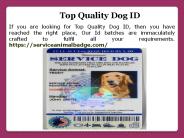 Service Animal ID (3)