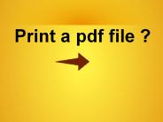 How can i print pdf.