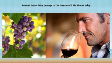 Hunter Valley wine tours in Northern Beaches
