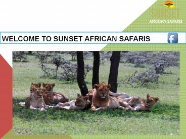 Welcome to Sunset African Safaris