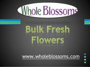 Bulk Fresh Flowers - www.wholeblossoms.com