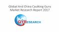 Global And China Caulking Guns Market Research Report 2017 PowerPoint PPT Presentation