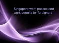 Singapore work passes and work permits for foreigners PowerPoint PPT Presentation