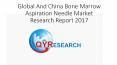 Global And China Bone Marrow Aspiration Needle Market Research Report 2017 PowerPoint PPT Presentation