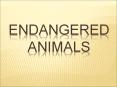 Endangered Animals PowerPoint PPT Presentation