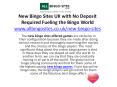 New Bingo Sites UK with No Deposit Required Fueling the Bingo World PowerPoint PPT Presentation