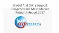 Global And China Surgical Polypropylene Mesh Market Research Report 2017 PowerPoint PPT Presentation