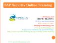 sap security online training PowerPoint PPT Presentation