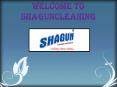 Shagun Cleaning- products manufacturer & supplier in delhi PowerPoint PPT Presentation