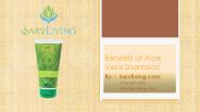 A Presentation on the Benefits of Aloe Vera Shampoo