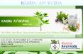Get Ayurvedic Treatment For Kidney Disease To Revine Your Kidney