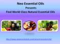 Find to the world class natural essential oils PowerPoint PPT Presentation