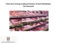 China beef Market Size, China beef Market,China beef Market growth-ken Research PowerPoint PPT Presentation
