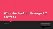 What Are Various Managed IT Services