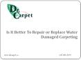 Is It Better to Repair or Replace Water Damaged Carpeting? PowerPoint PPT Presentation