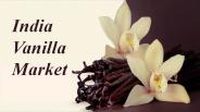 India Vanilla Market
