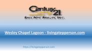 Wesley Chapel Lagoon - livingatepperson.com (1)