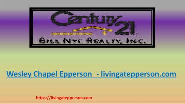 Wesley Chapel Epperson  - livingatepperson.com