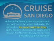 cruise ship dj