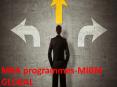 MIBM GLOBAL- MBA programmes PowerPoint PPT Presentation