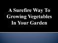 A Surefire Way To Growing Vegetables In Your Garden PowerPoint PPT Presentation