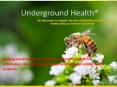 Underground Health – Helps provide home remedies to boost the immune system PowerPoint PPT Presentation