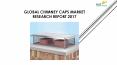 24 Market Reports: Global Chimney Caps Market Research Report 2017 PowerPoint PPT Presentation