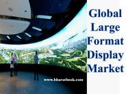 Global Large Format Display Market