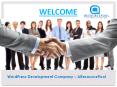 Hire wordpress Developers - AResourcePool