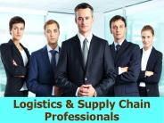 Logistics and Supply Chain Professionals