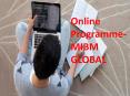 MIBM GLOBAL- Online Programme PowerPoint PPT Presentation