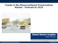 Phenoxyethanol Preservatives Market industry analysis research and trends report for 2017-2024 PowerPoint PPT Presentation