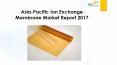 24 Market Reports: Asia-Pacific Ion Exchange Membrane Market Report 2017 PowerPoint PPT Presentation