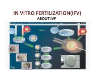 infertility treatment cost