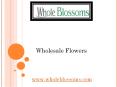 Wholesale Flowers – Whole Blossoms (6) PowerPoint PPT Presentation
