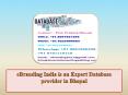 eBranding India is an Expert Database provider in Bhopal PowerPoint PPT Presentation