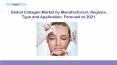Global Collagen Market by Manufacturers, Regions, Type and Application, Forecast to 2021.pptx PowerPoint PPT Presentation