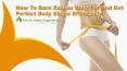 How To Burn Excess Belly Fat And Get Perfect Body Shape Effectively? PowerPoint PPT Presentation