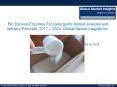 Bio Derived Enzymes For Detergents Market trends research and projections for 2017-2024 PowerPoint PPT Presentation