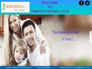 Pest Control Services Odisha