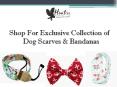 Shop For Exclusive Collection of Dog Scarves & Bandanas (1)