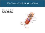 Why Test for E.coli Bacteria in Water