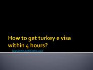 How to get turkey e visa within 4 hours?