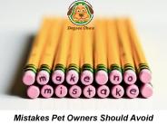 Mistakes Pet Owners Should Avoid