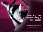 How Long Does Marijuana Stay In Your Blood?