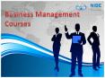 Business management courses in pune-NIBE International PowerPoint PPT Presentation