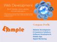 iAmple Profile, Website Desgin PowerPoint PPT Presentation
