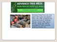 Orlando Tree Service company - Advance Tree Pros PowerPoint PPT Presentation
