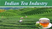 Indian Tea Industry