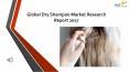 24 Market Reports: Global Dry Shampoo Market Research Report 2017 PowerPoint PPT Presentation